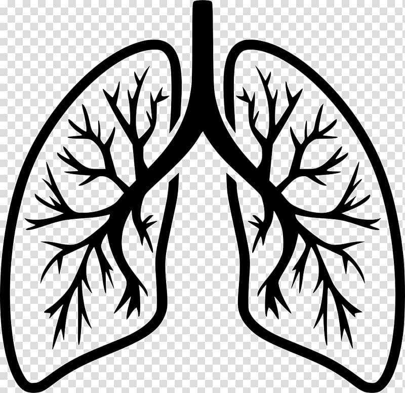 Lung Computer Icons Breathing Organ, human Lungs transparent background PNG clipart