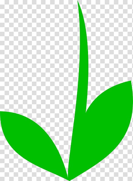 Plant Stem Flower Leaf