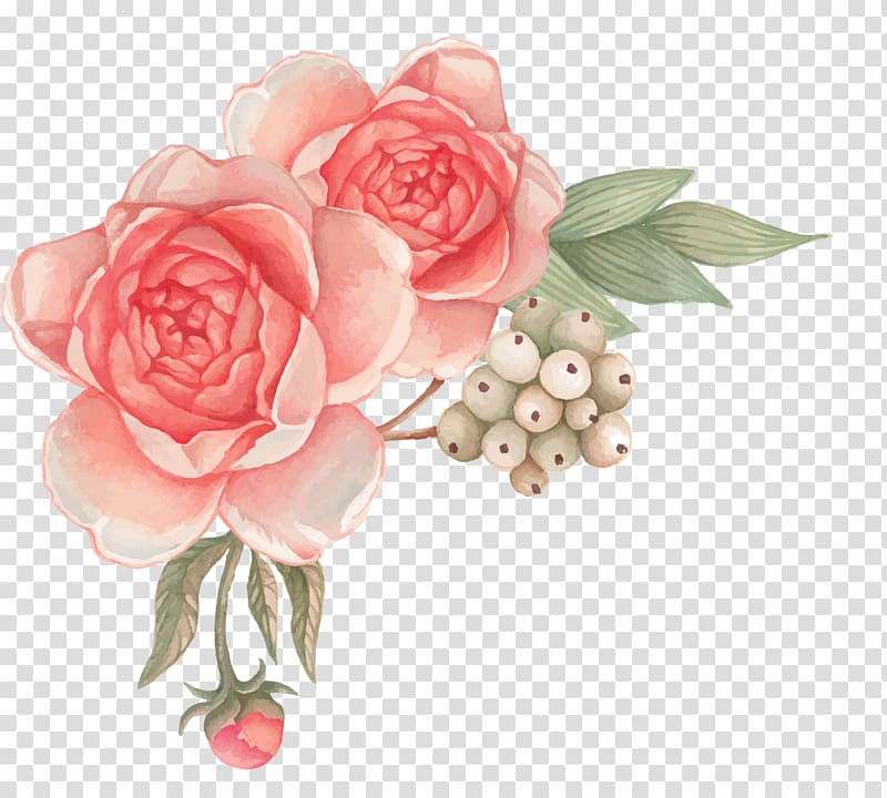 Garden roses Cut flowers Hairdresser Business Cards, flower transparent background PNG clipart