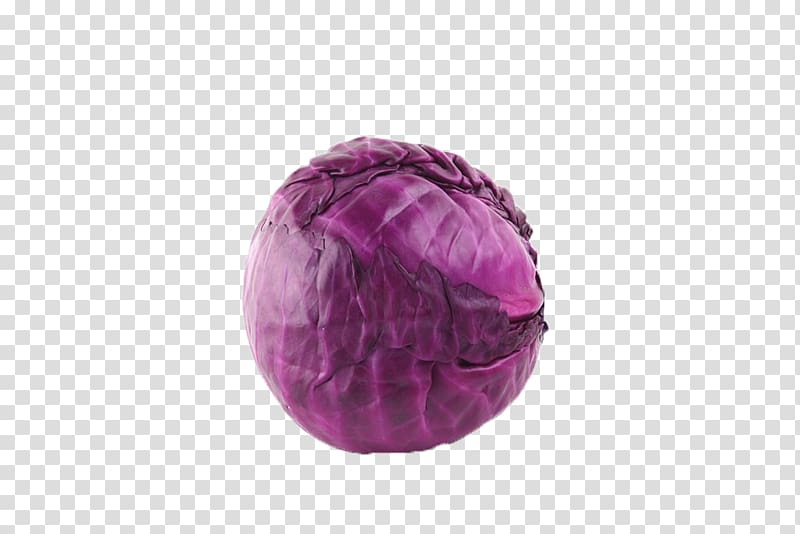 Red cabbage Cauliflower Vegetable, Cabbage transparent background PNG clipart