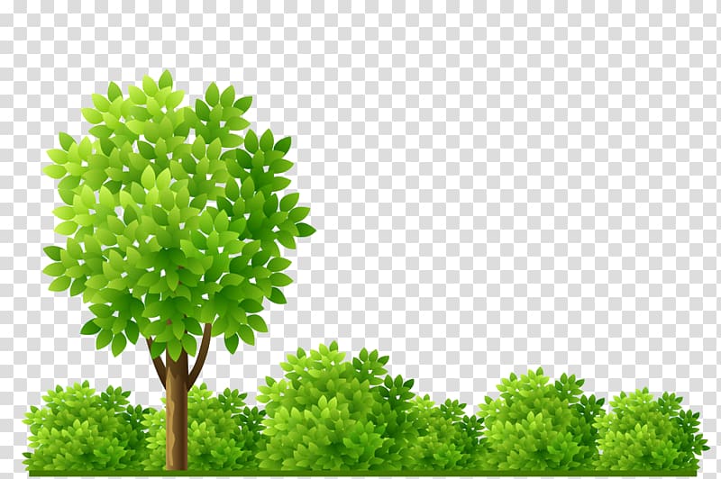 green tree illustration, Garden Shrub Tree Illustration, tree transparent background PNG clipart