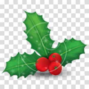 Mistletoe Phoradendron tomentosum Christmas Common holly , christmas transparent background PNG clipart thumbnail