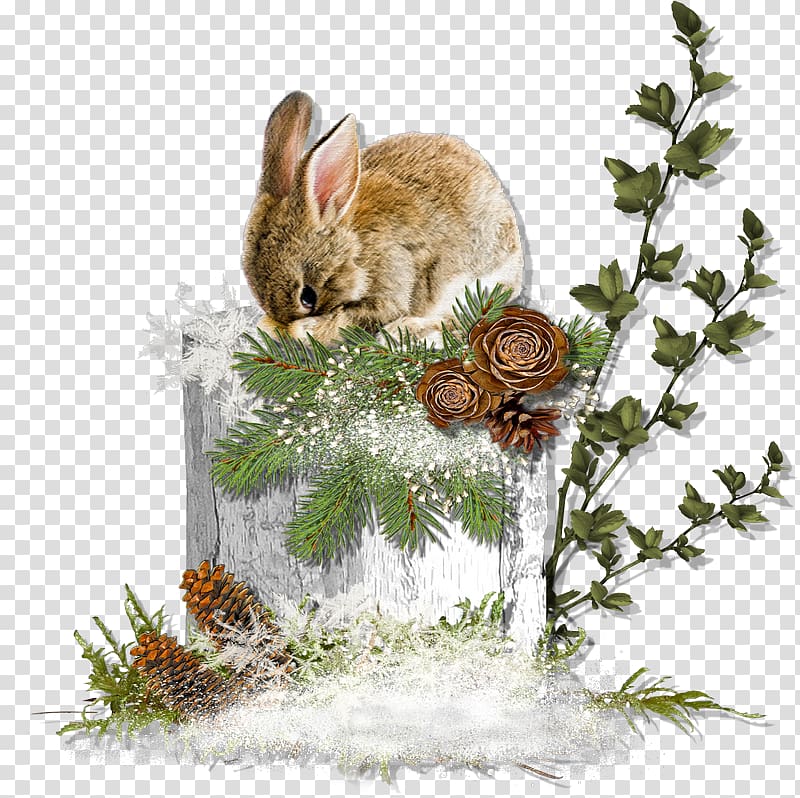 Hare Domestic rabbit European rabbit, woodland transparent background PNG clipart