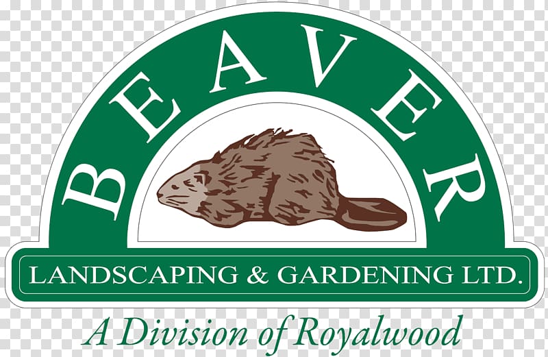Beaver Landscaping and Gardening Landscape architect, beaver transparent background PNG clipart