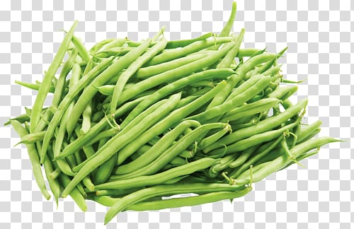 Green bean transparent background PNG clipart