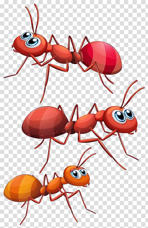 three red and brown ants illustration, Ant , ant transparent background PNG clipart