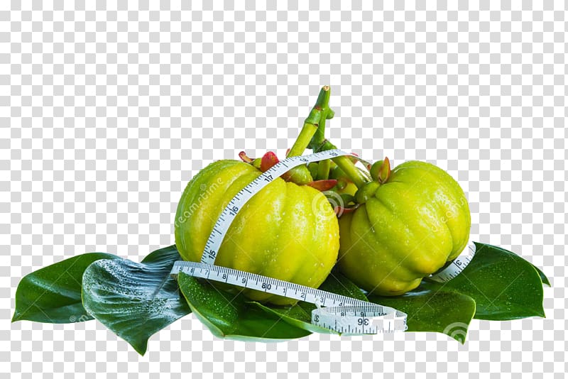 Dietary supplement Garcinia gummi-gutta Hydroxycitric acid Weight loss Health, tamarind transparent background PNG clipart