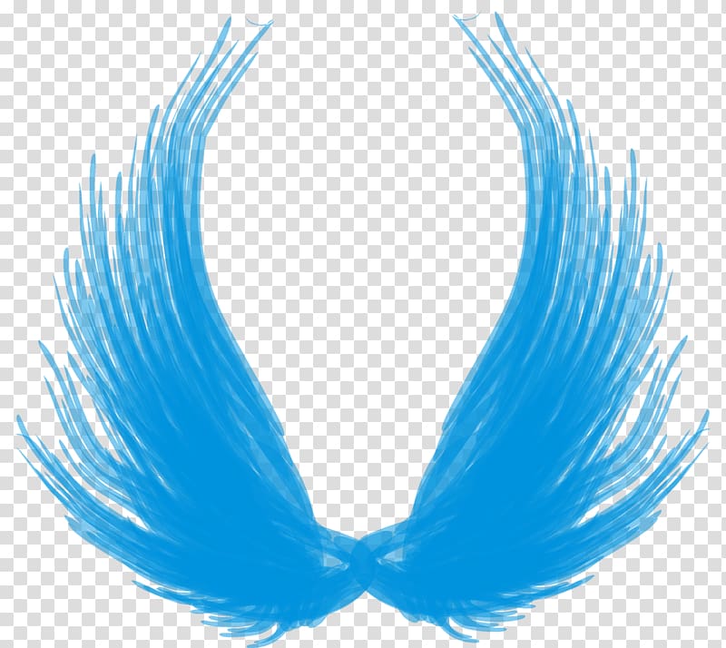 Wing Bird SAD! Weapon Pupil, Bird transparent background PNG clipart