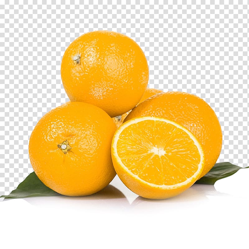 Clementine Navel Orange Tangelo Pomelo, South Africa imports of oranges transparent background PNG clipart