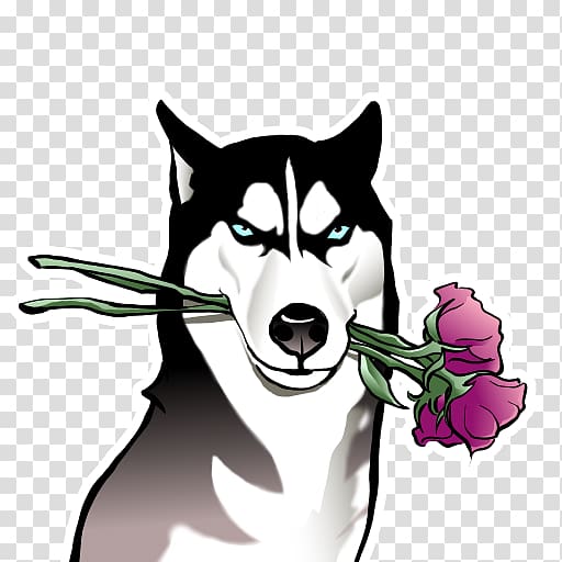 Siberian Husky Cartoon / Zerochan has 53 siberian husky anime images