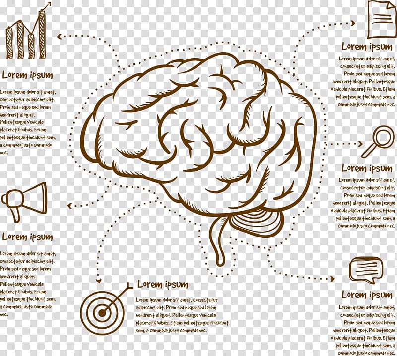 Human brain Cerebrum Infographic, Brain mapping transparent background PNG clipart