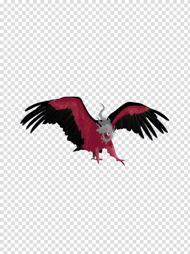 Eagle Vulture Bird, realism transparent background PNG clipart