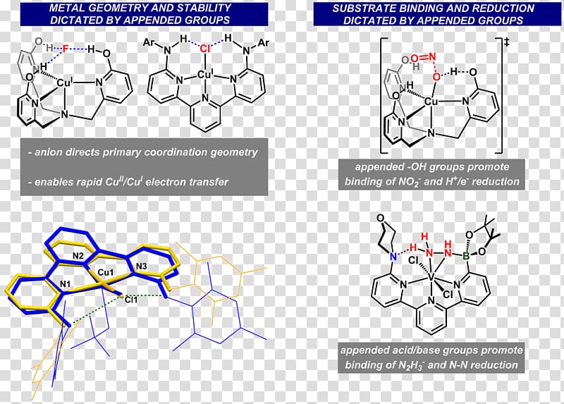 Coordination sphere Coordination complex Lewis acids and bases Chemistry Metal, Departement Of Chemistry Aub transparent background PNG clipart