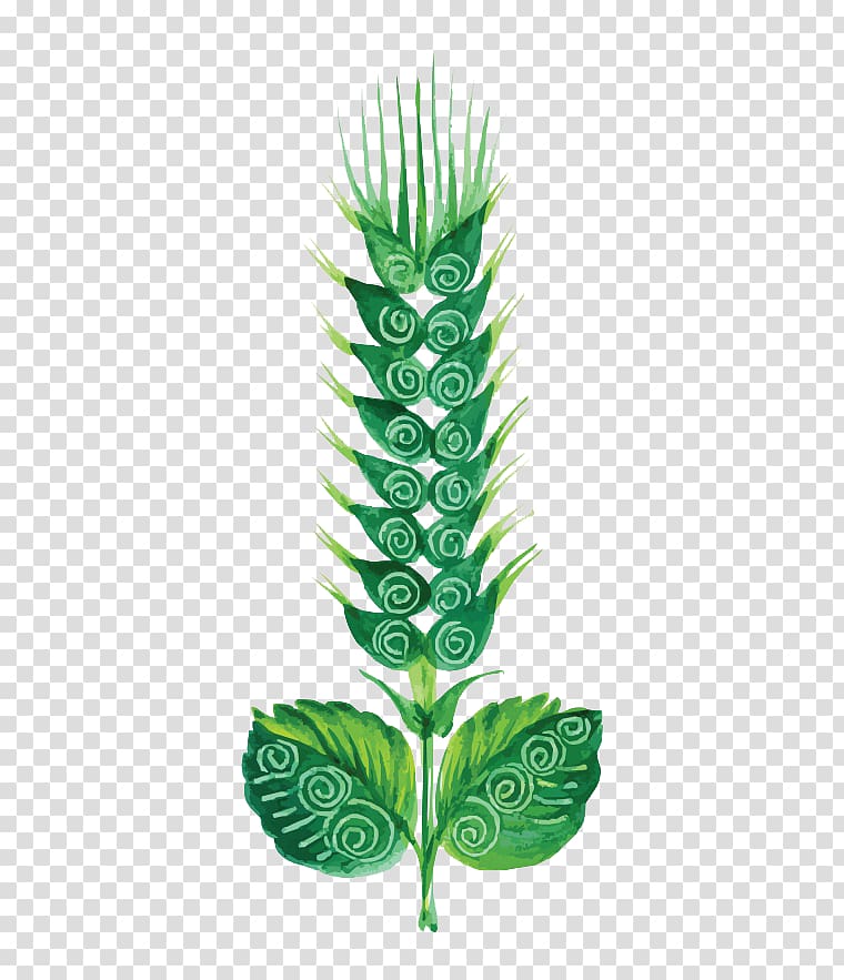 Flower Painting Euclidean Cdr, Painted green wheat transparent background PNG clipart