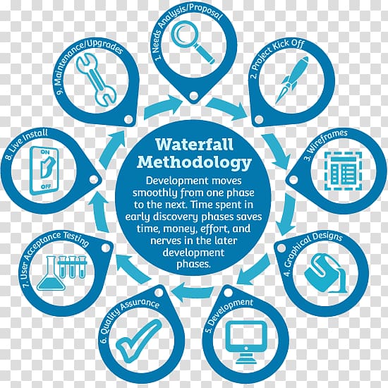 Waterfall model Cord blood Software development process Umbilical cord Stem cell, Development Cycle transparent background PNG clipart