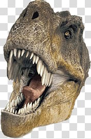 brown dinosaur art, T-Rex Head transparent background PNG clipart