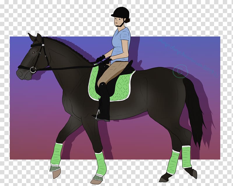 Stallion Mustang Hunt seat Mare Pony, first step transparent background PNG clipart