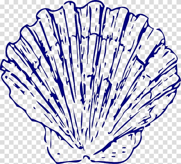 Seashell Blue , How To Draw A Conch Shell transparent background PNG clipart