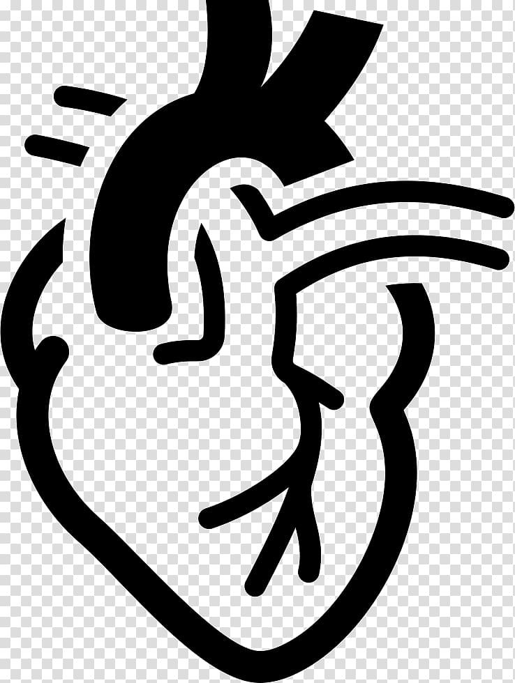 Cardiology Electrocardiography Medicine Heart Hemodynamics, heart transparent background PNG clipart