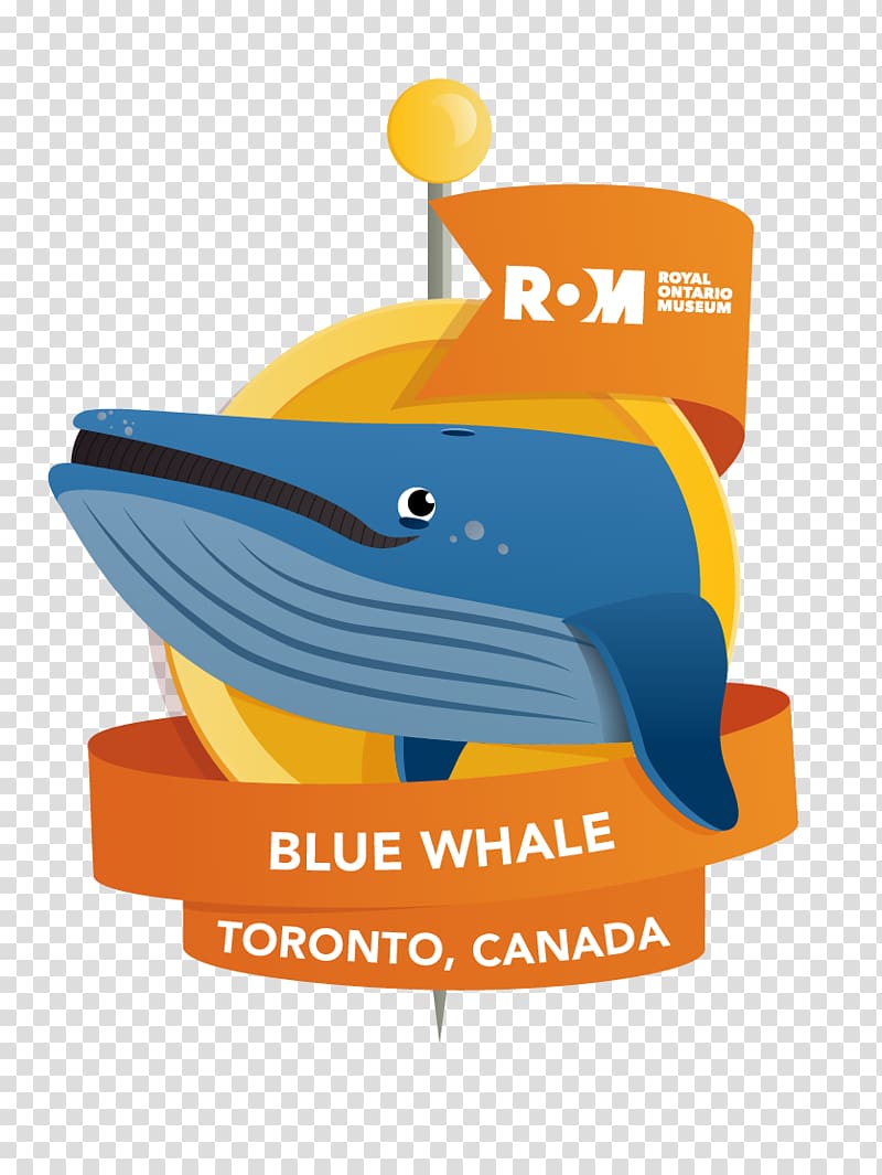 Logo Illustration Product design Brand, blue whale biodiversity transparent background PNG clipart