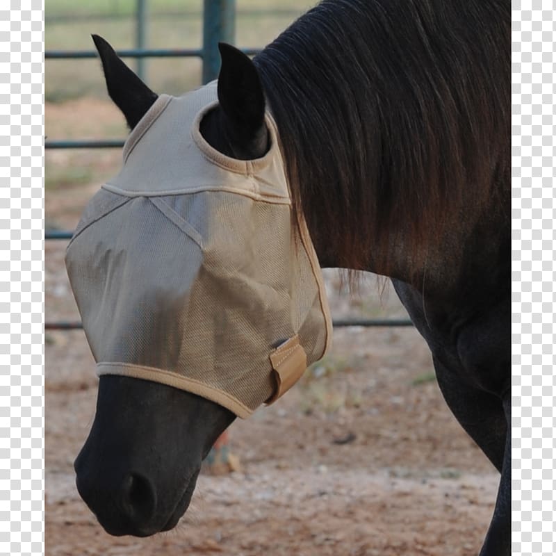 Horse Fly mask Rein Insect, horse transparent background PNG clipart