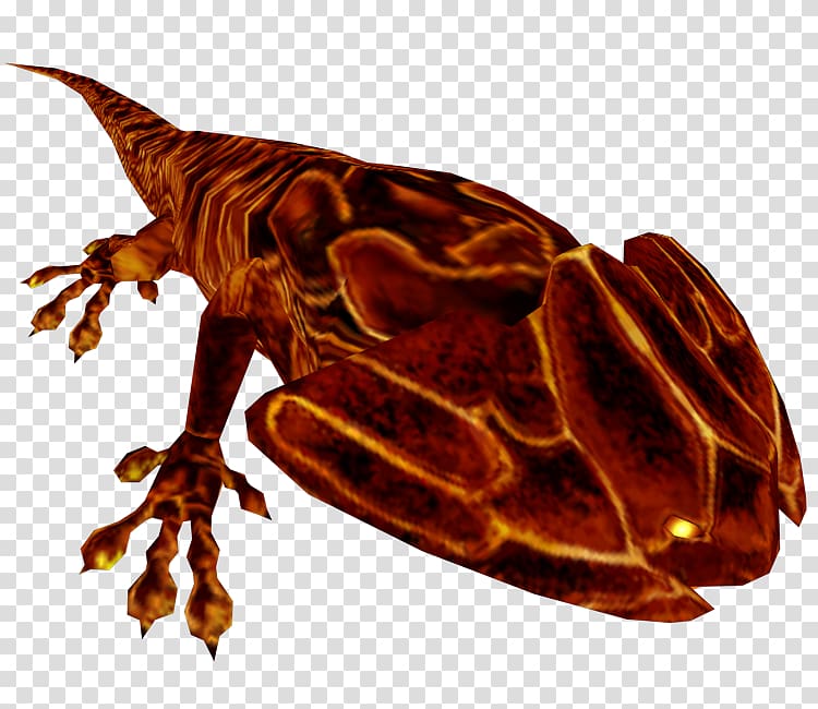 Insect Reptile Amphibians Pollinator, insect transparent background PNG clipart