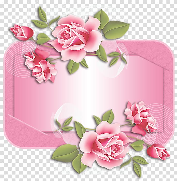 Garden roses Sugar cake Floral design Cake decorating, rose transparent background PNG clipart