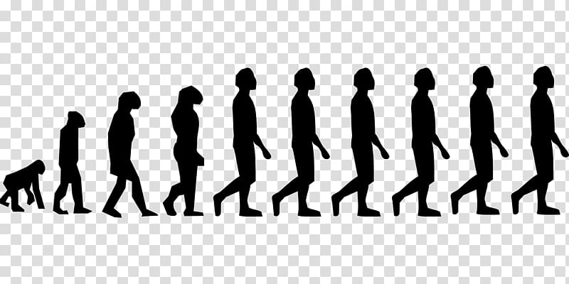 Human evolution Homo sapiens Neandertal Ape, posture transparent background PNG clipart