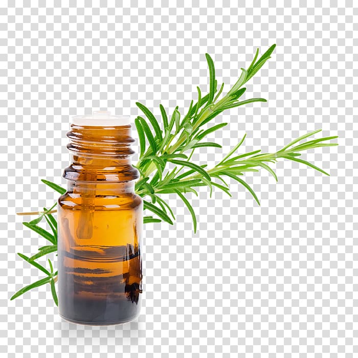 Essential oil Rosemary Vinaigrette Herb, oil transparent background PNG clipart