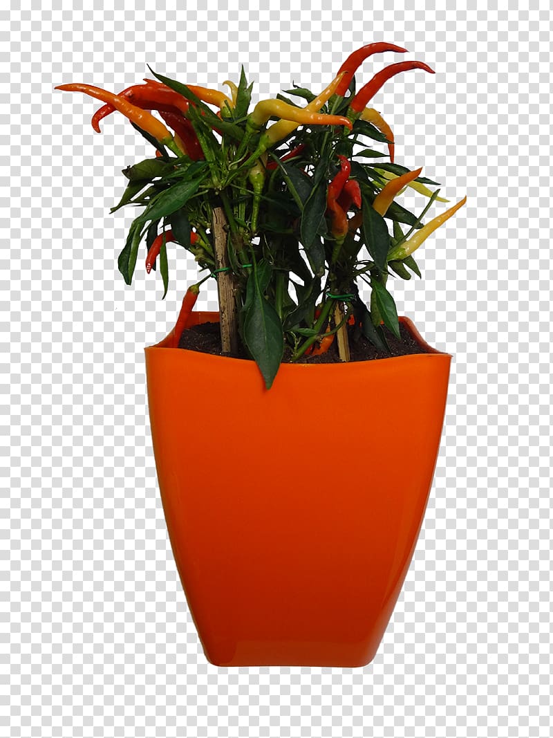 Flowerpot Vase Orange Houseplant, vase transparent background PNG clipart