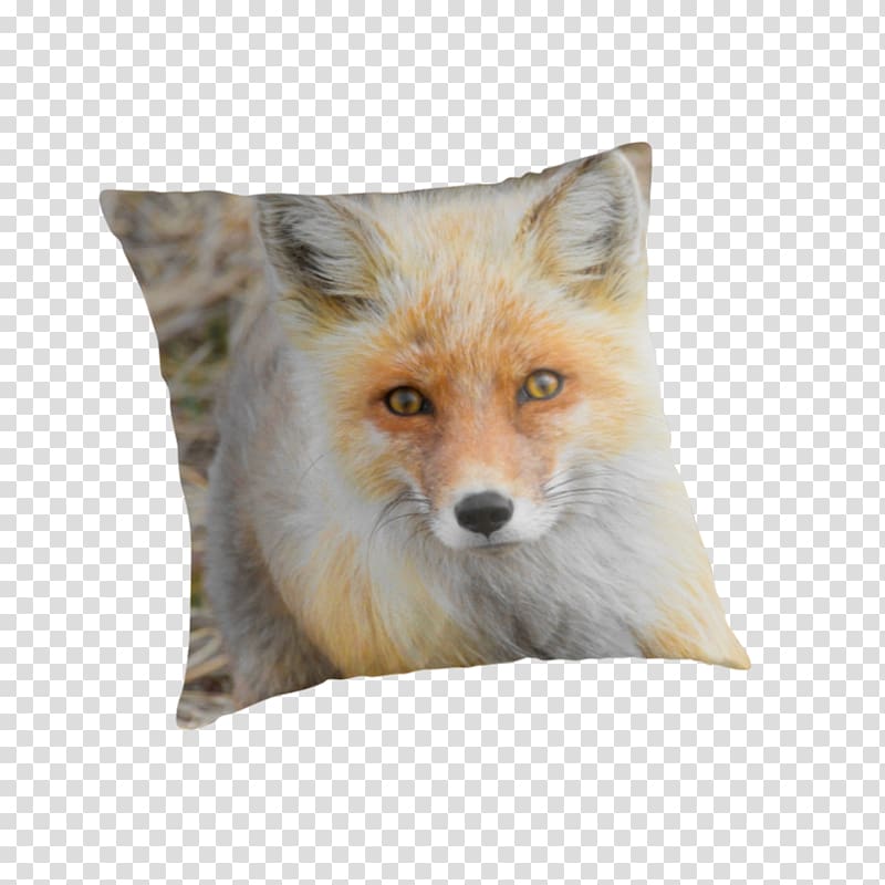 Red fox Fur Snout Wildlife, fox material transparent background PNG clipart