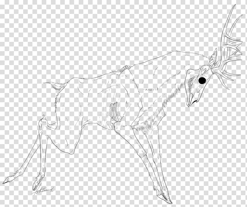 Canidae Hare Deer Drawing Sketch, nymph transparent background PNG clipart