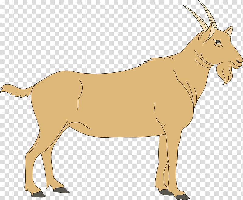 Cattle Antelope Goat Deer Sheep, Yellow goat transparent background PNG clipart