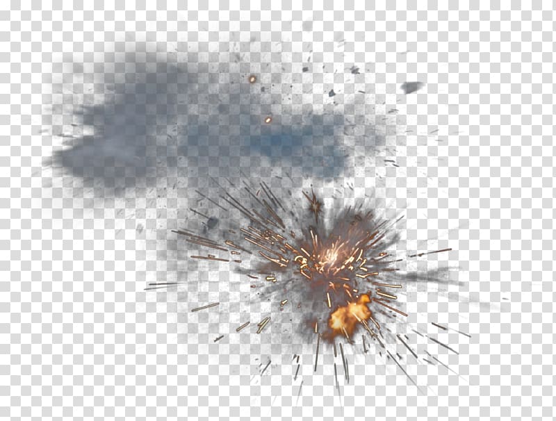 Insect Close-up Sky Pest , explosion transparent background PNG clipart