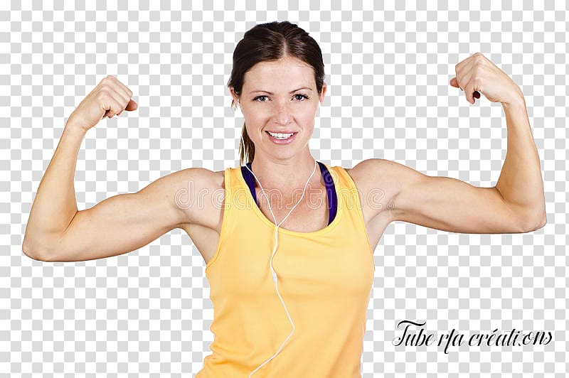 Biceps Arm Muscle, arm transparent background PNG clipart
