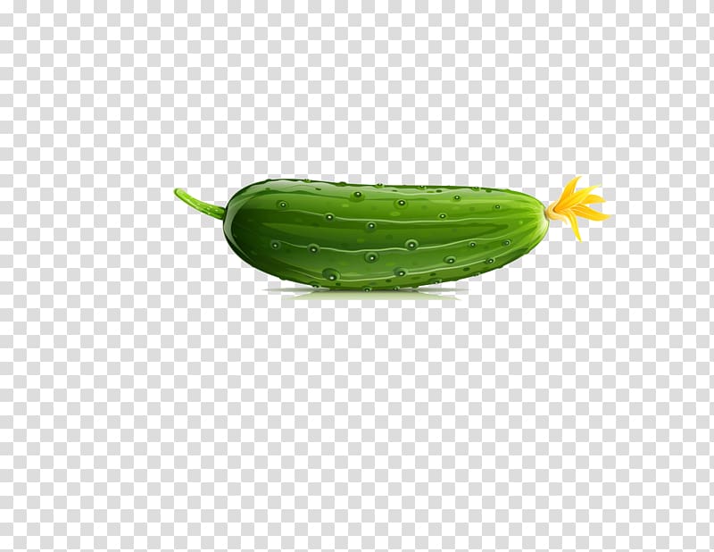 Armenian cucumber Pepino Vegetable, A cucumber transparent background PNG clipart