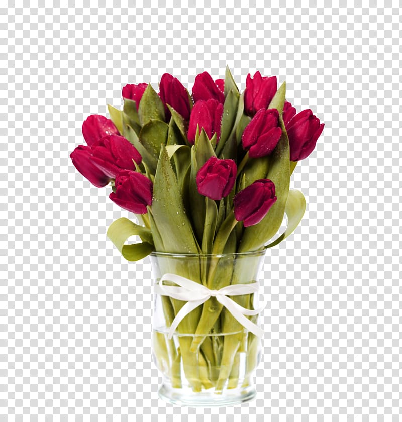 Indira Gandhi Memorial Tulip Garden Flower bouquet Floristry, Obsessed with tulips material transparent background PNG clipart