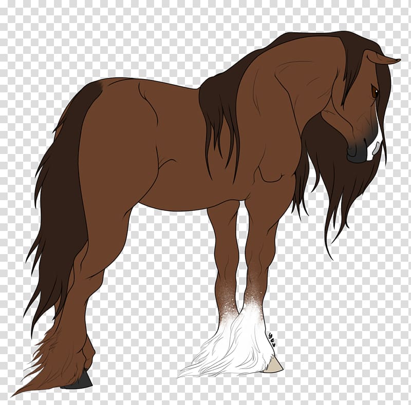 American Paint Horse Gypsy horse Fjord horse Foal Drawing, horse riding transparent background PNG clipart