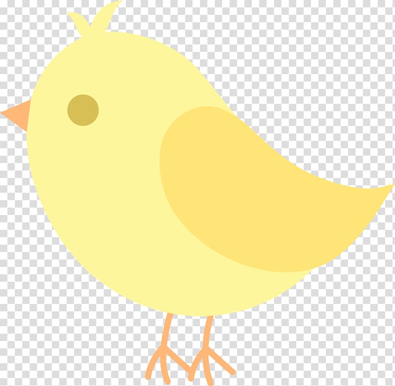 Chicken Bird Beak , Cute Bird transparent background PNG clipart