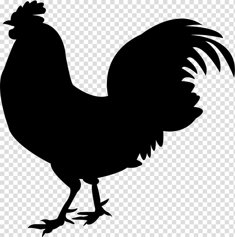 Chicken meat Silkie Rooster, rooster transparent background PNG clipart