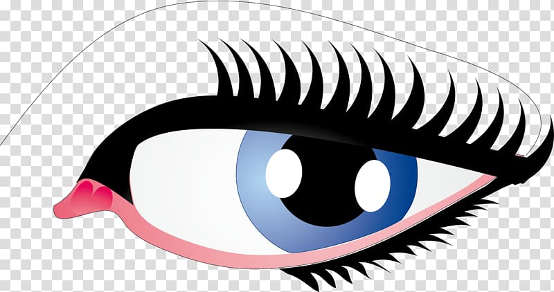 Eye , Long eyelashes eye transparent background PNG clipart