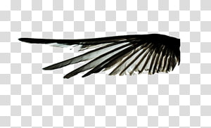 Naver Blog Black and white, Finger Post transparent background PNG clipart thumbnail