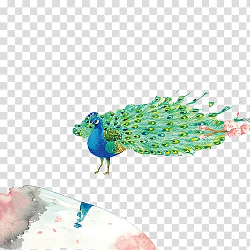 Graphic design Pattern, FIG creative peacock transparent background PNG clipart