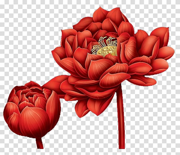 Garden roses Red Illustration, Blood red lotus transparent background PNG clipart