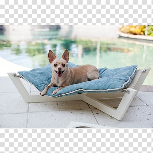 Hammock Dog breed French Bulldog Chihuahua Sunlounger, White Cortical Beauty Bed transparent background PNG clipart