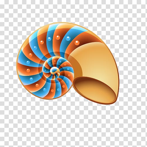 Seashell Mollusc shell , conch transparent background PNG clipart