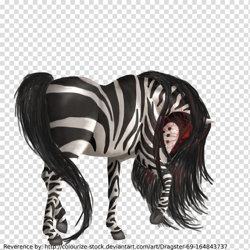 Mane Neck Zebra, Howrse transparent background PNG clipart