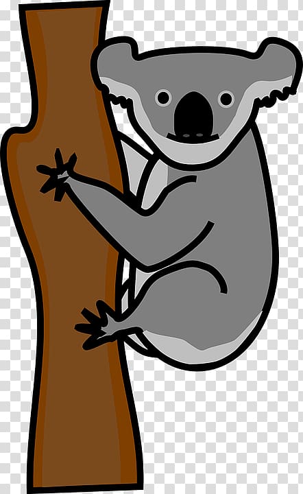 Koala Giant panda Bear Cuteness , Climb a tree Koala transparent background PNG clipart