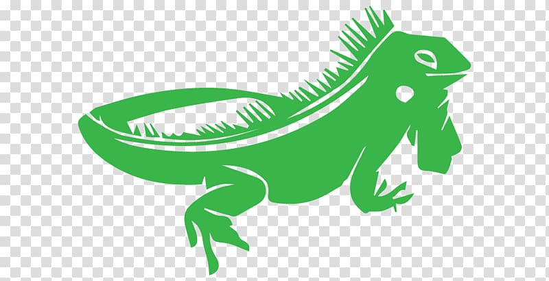 Lizard Chameleons Reptile Green iguana , Green Iguana transparent background PNG clipart