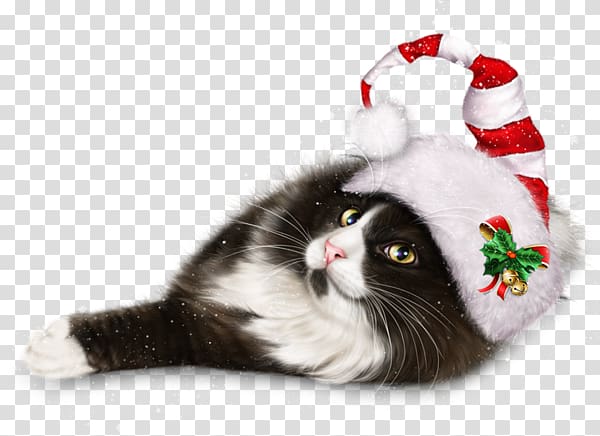 Cat Whiskers Kitten Christmas ornament Christmas Day, animals transparent background PNG clipart